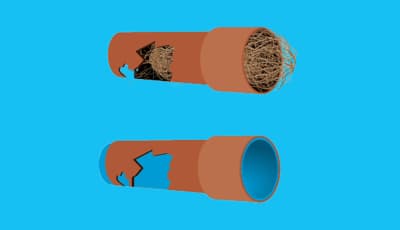Diagram showing a damaged pipe blocked with tree roots before and after pipe relining in Brisbane